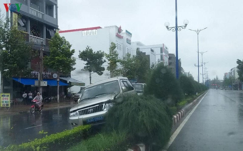 Ô tô biển số xanh có liên quan đến vụ tai nạn chết người.  