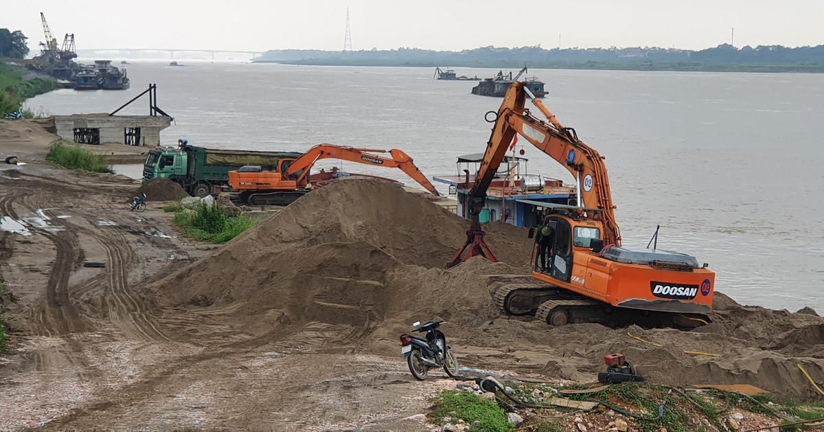 Tình trạng xâm phạm hành lang bảo vệ đê vẫn tái diễn.