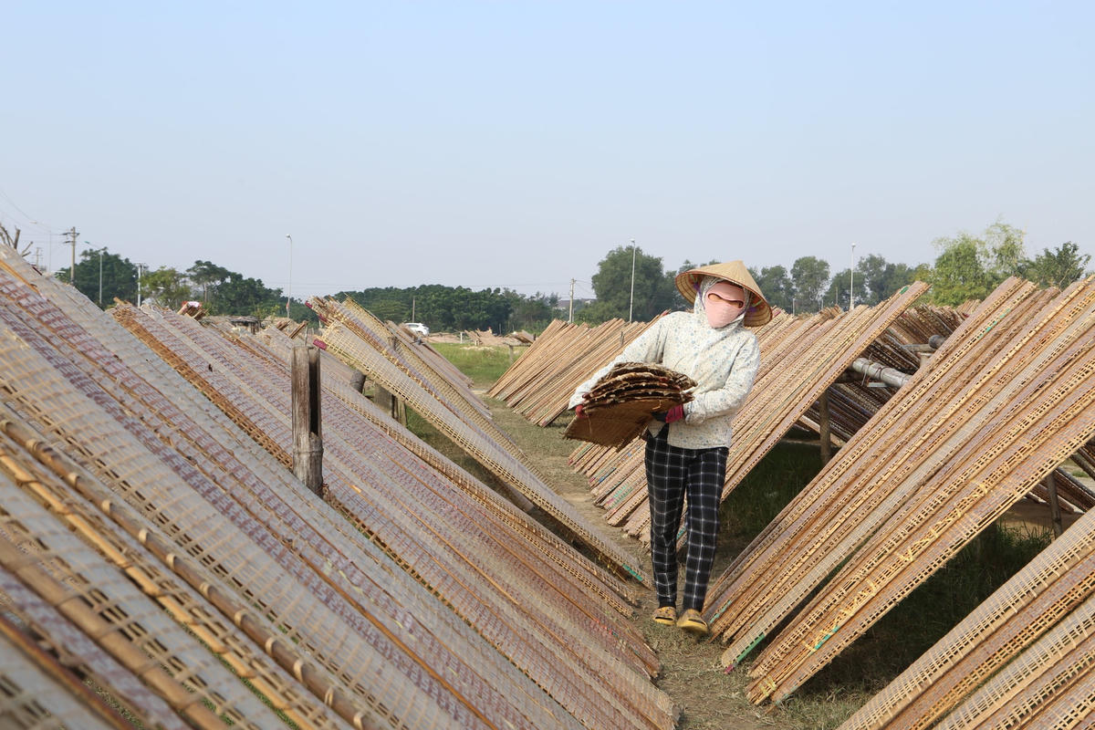 Càng gần Tết, nhu cầu đặt mua bánh đa nem càng cao.