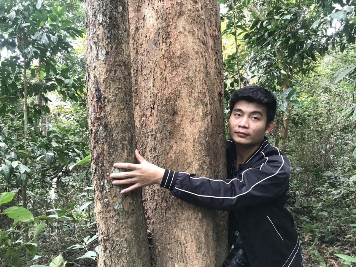 Những gốc đinh hương có đường kính lớn, nhiều người ôm mới hết. Riêng những cây 1 người ôm đếm không xuể. Đây thực sự là tài sản quý giá không chỉ người dân nơi đây, mà còn là của chung của miền Tây xứ Nghệ.