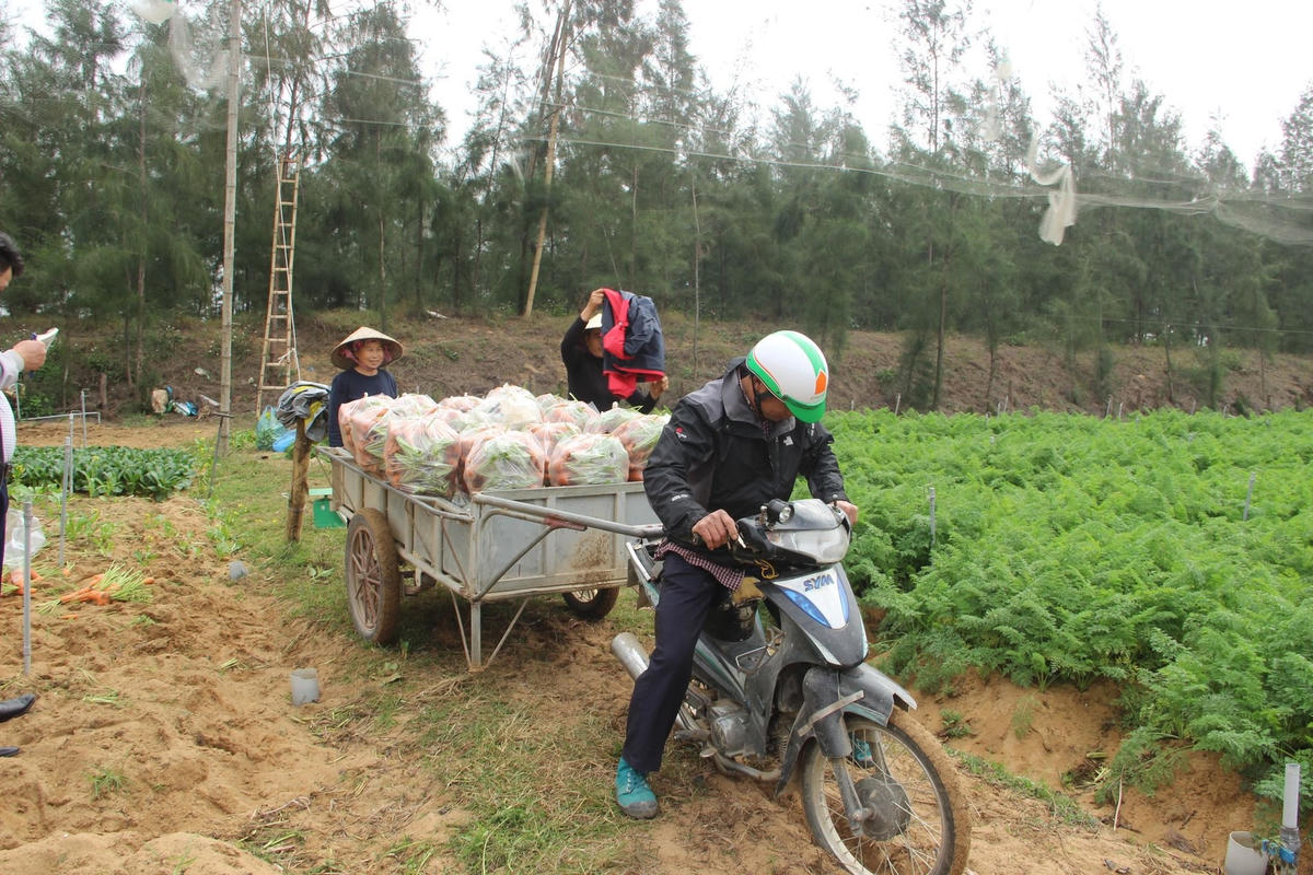 Người dân hồ hởi vận chuyển hàng nông sản của mình giao cho thương lái.