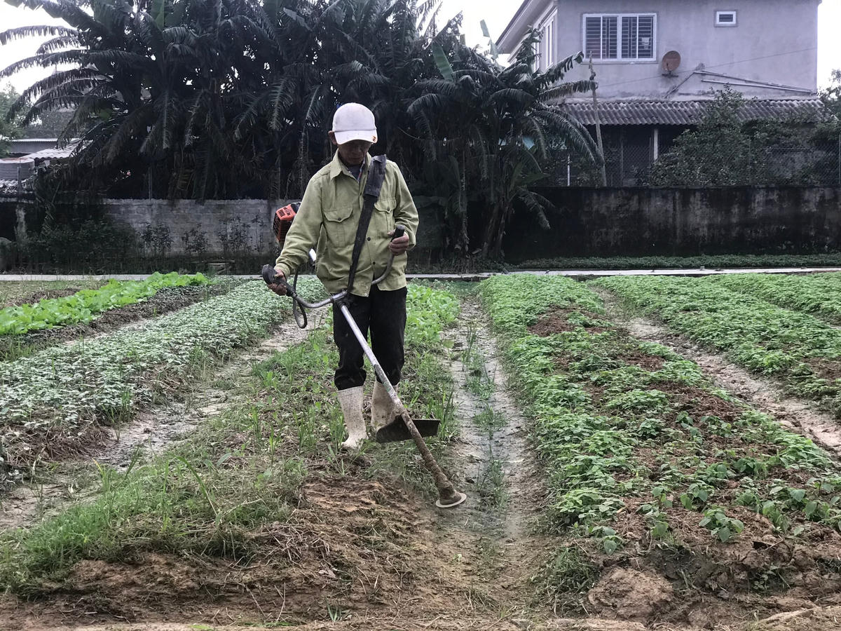 Nông dân huyện Thạch Hà vào vụ mới.