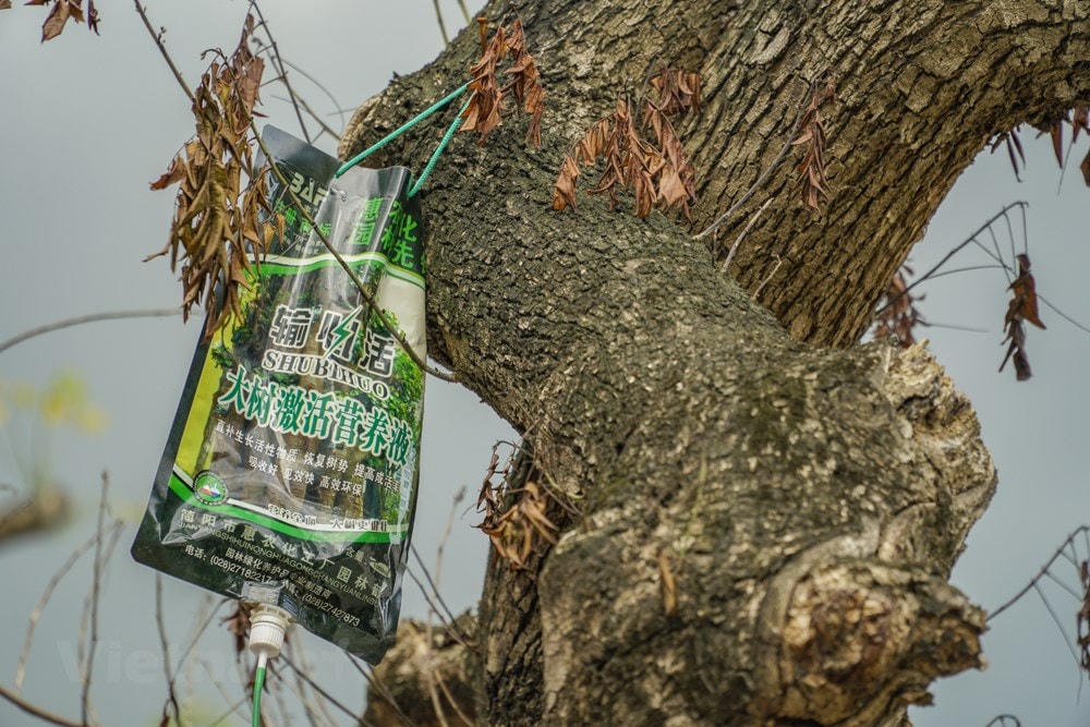 (Ảnh: Minh Hiếu/Vietnam+).