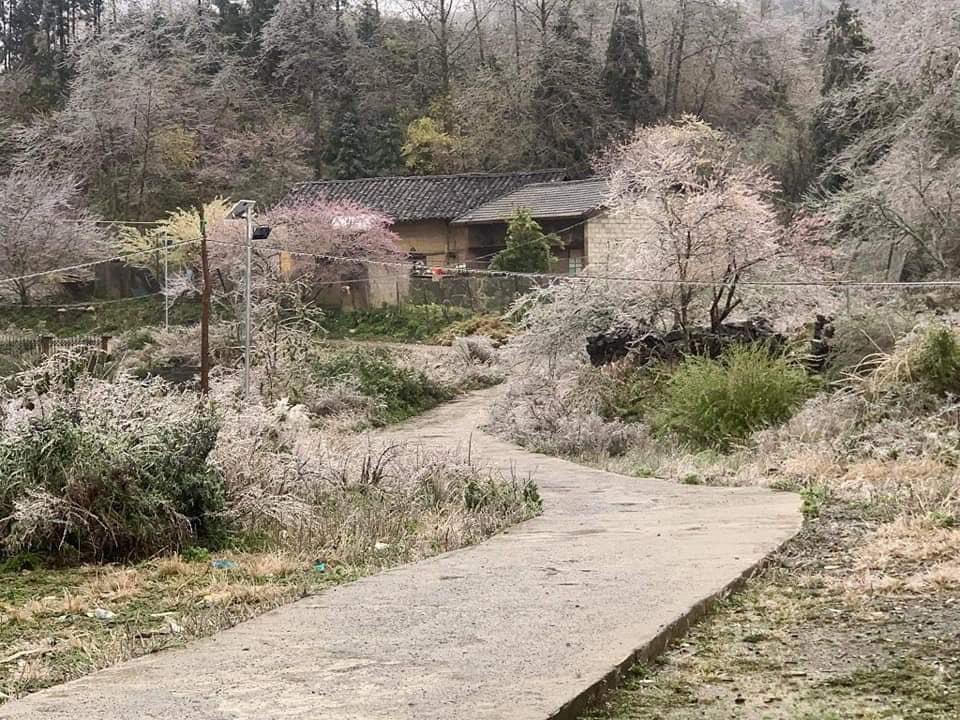 Băng giá xuất hiện nhiều tại huyện Mèo Vạc, Hà Giang.