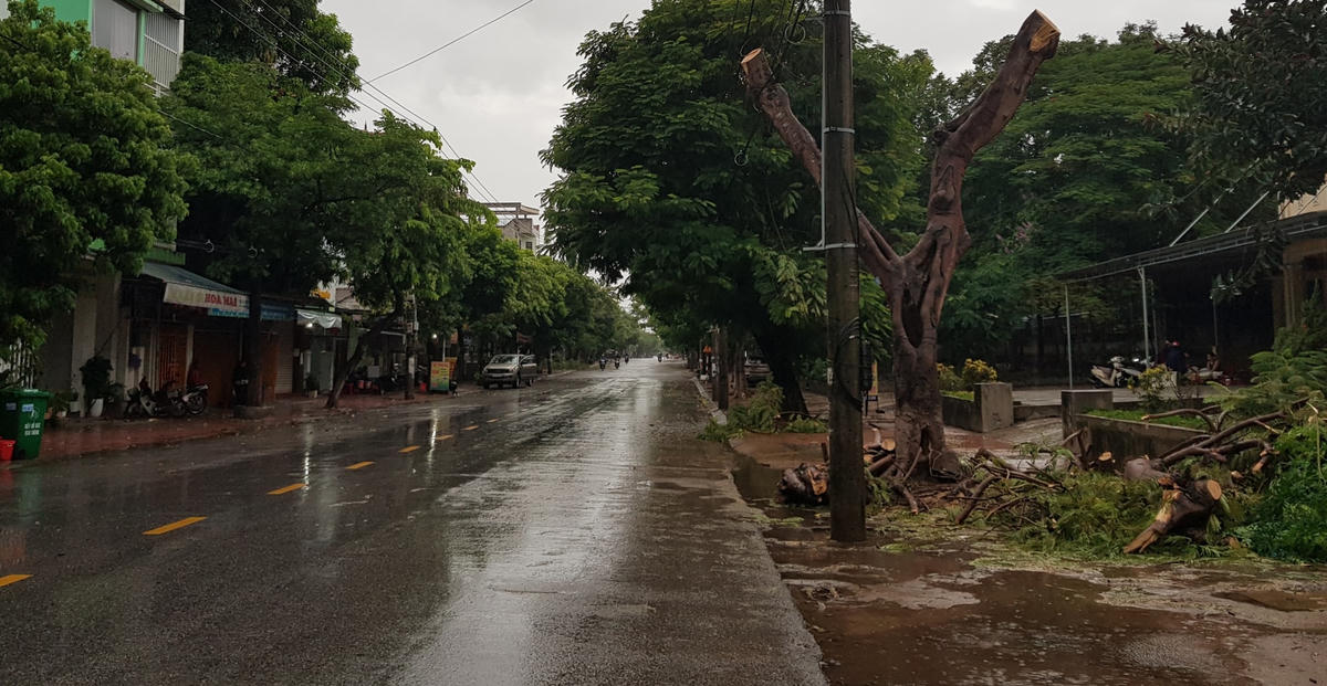 Đơn vị quản lý môi trường và cây xanh đã cắt tỉa cành khi có thông tin về bão.