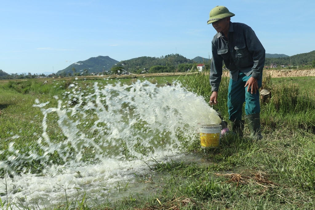 Bơm nước – cứu lúa, niềm hi vọng của người dân xứ Nghệ lúc này.
