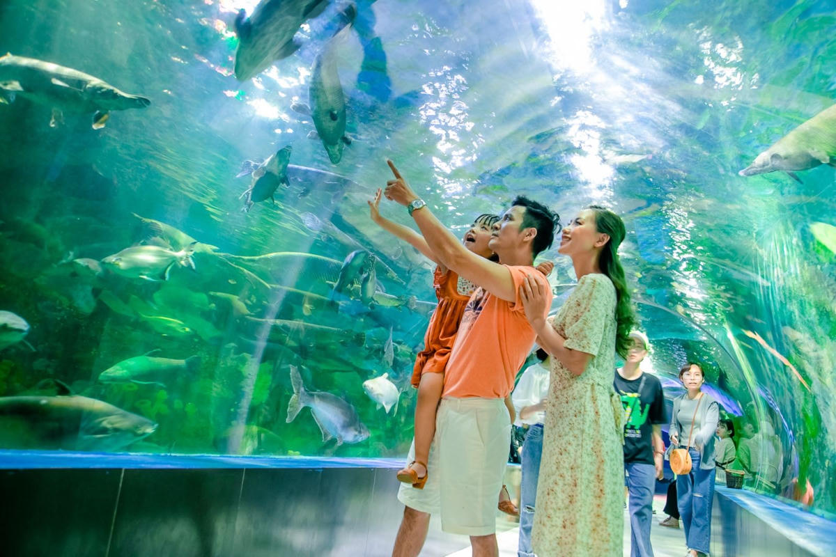 Thủy cung tại công viên Thiên đường Bảo Sơn - Địa điểm tham quan thu hút du khách. Nguồn: baosonparadise.