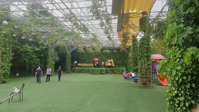 Toàn cảnh Thung lũng hoa Hồ Tây nhìn từ trên cao (Ảnh: Nguyễn Trường).