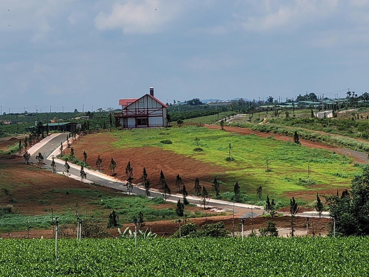 Tình trạng mua đất nông nghiệp để phân lô bán nền ở TP Bảo Lộc diễn ra khá phổ biến.