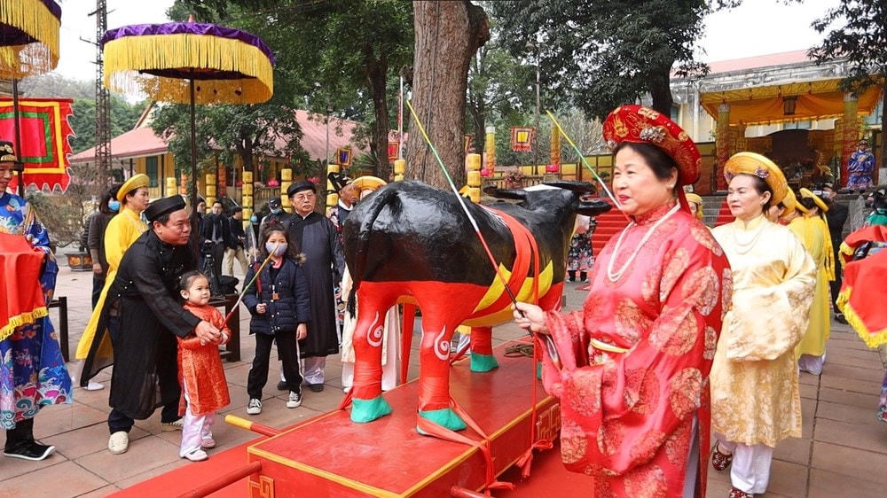 Người dân cũng lần lượt tham gia đả trâu sau đó. (Ảnh: Vietnam+).