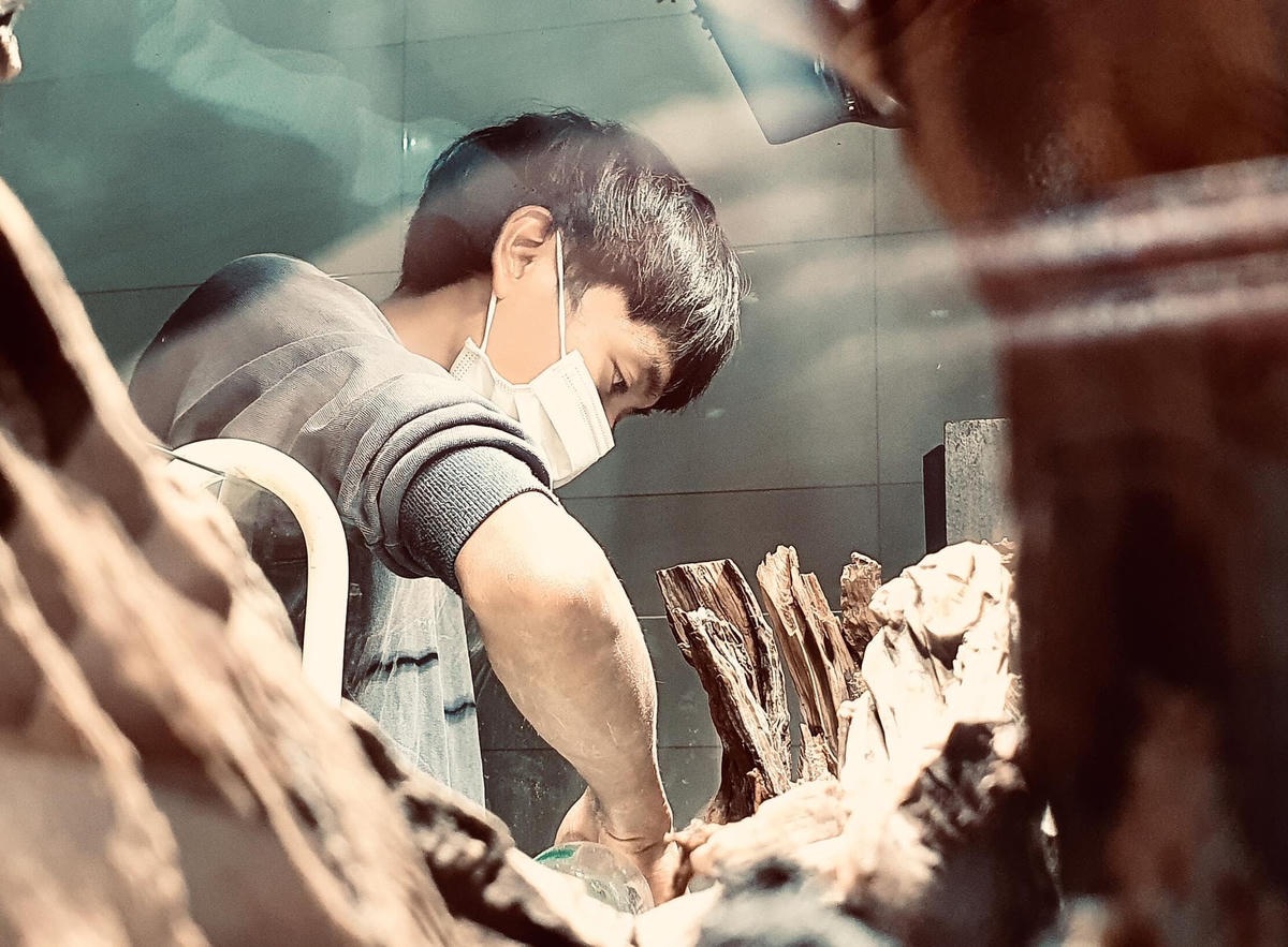 Anh Nguyễn Văn Linh mang núi đá, rừng già vào bể thủy sinh. Ảnh: NVCC. 