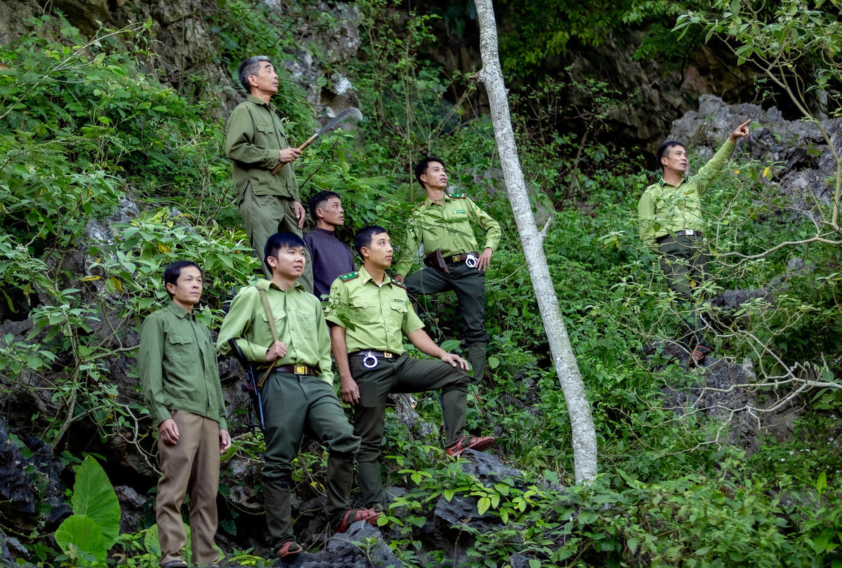 Tuần tra giữ rừng.