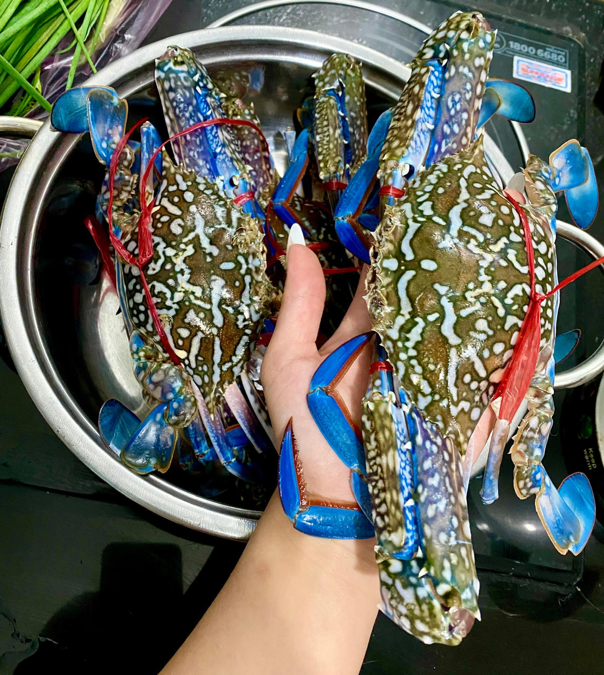 Đây là thời điểm mà người tiêu dùng nên tranh thủ thưởng thức hải sản ngon, giá rẻ.