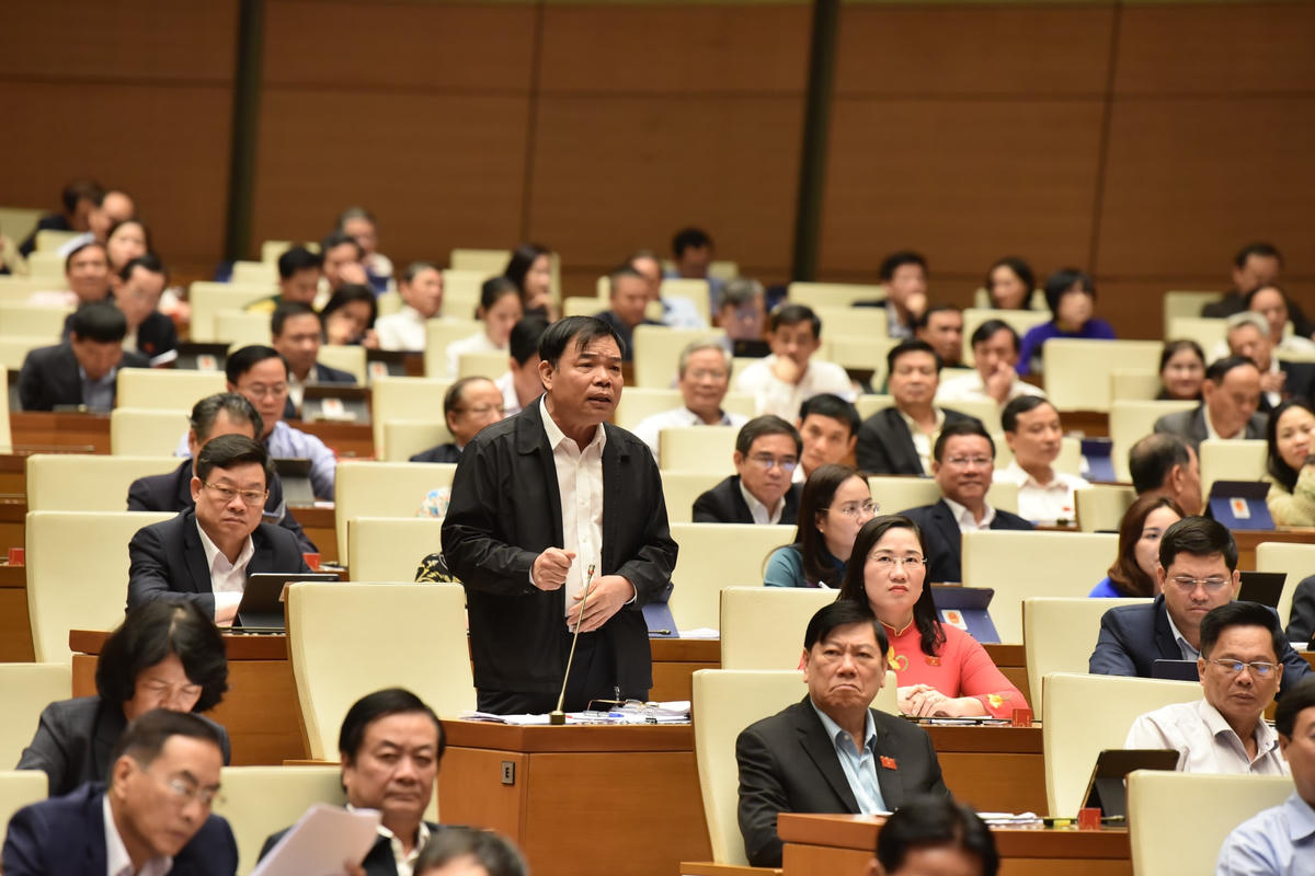 Bộ trưởng Bộ NNPTNT Nguyễn Xuân Cường: Chúng ta có chính sách, có chế độ dể bà con giữ rừng.Tuy nhiên, với việc mất rừng tự nhiên, không thể phục hồi như ngày xưa mà cần có thời gian. 