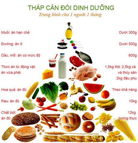 Tháp dinh dưỡng cho người cao tuổi