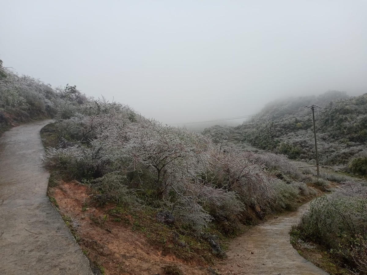 Băng giá phủ dày đặc tại các xã giáp biên giới là Xín Cái và Thượng Phùng.