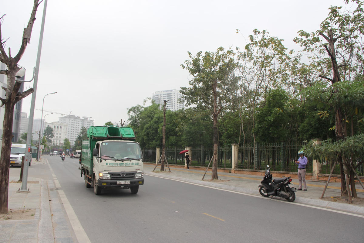 Hà Nội: Xót xa hàng chục cây xanh chết khô trên đường Trương Công Giai