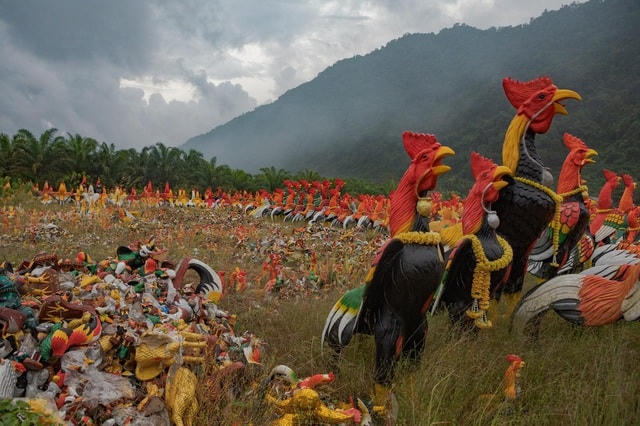 Du khách đến thăm Wat Chedi, một ngôi chùa ở miền nam Thái Lan, đã tặng vô số hình tượng con gà để tôn vinh Ai Khai (hay Egg Boy), một bức tượng chứa linh hồn của một cậu bé được cho là mang lại may mắn.