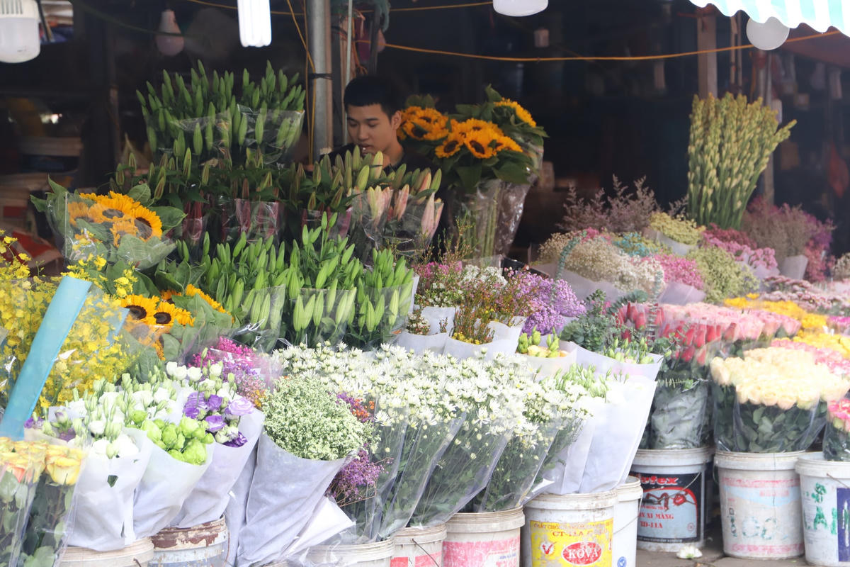 Cúc họa mi được xếp ngay ngắn trên sạp hàng.