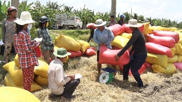 Ngày mùa.
