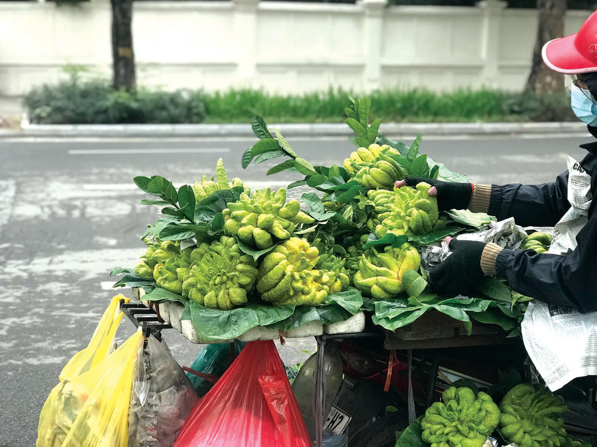 Xe chở phật thủ bán dạo trên phố.Mưu sinh ngày cuối năm.