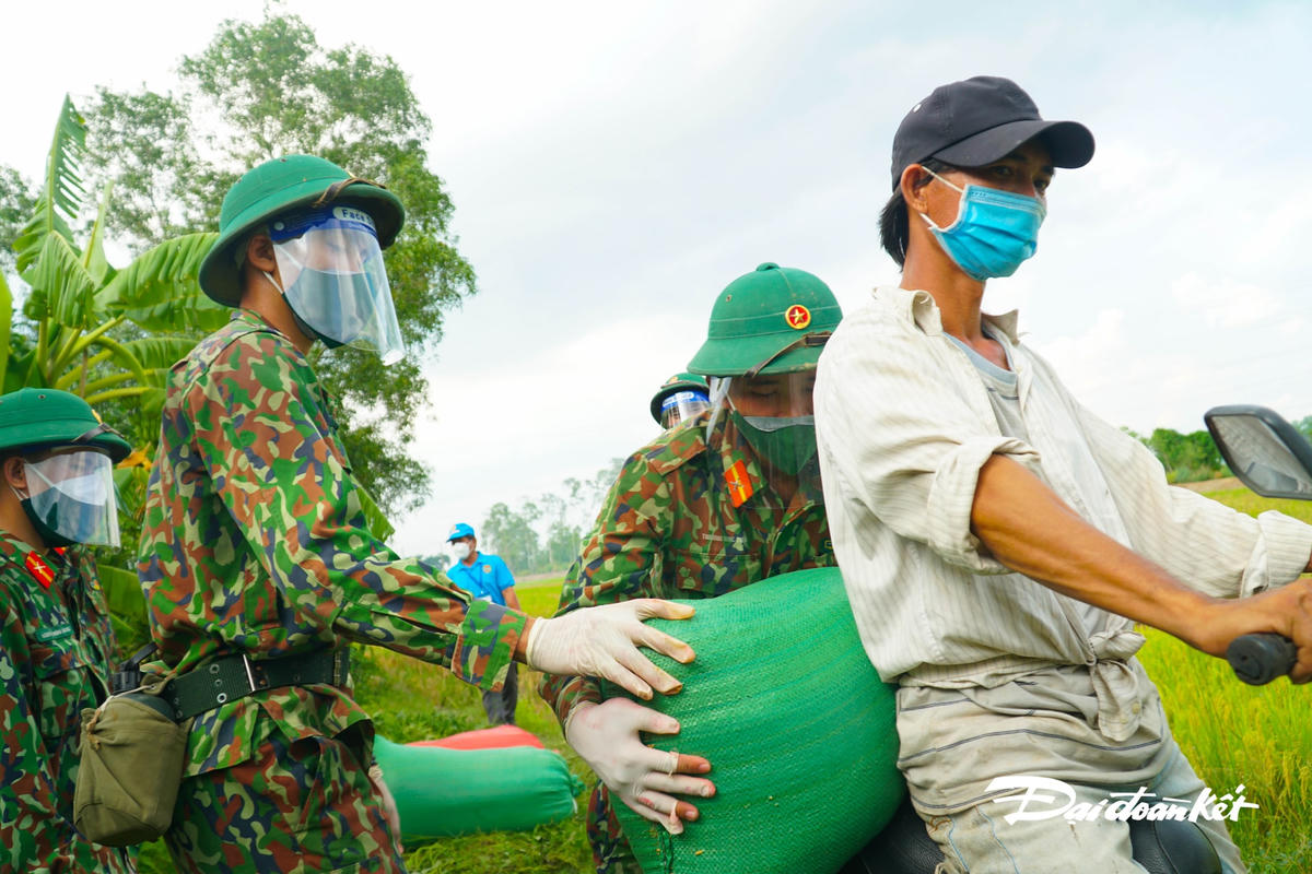 Sau khi vận chuyển ra đường, người dân dùng xe máy, chở ra đường lớn cho tiện chở về nhà.