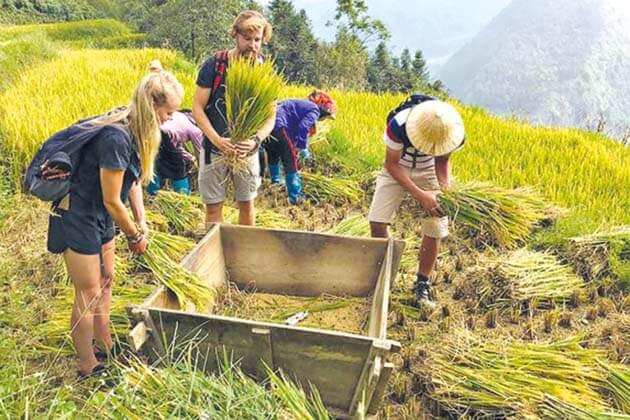 Du lịch cộng đồng đang là xu hướng được các địa phương đầu tư phát triển. Ảnh: Minh Thuận.