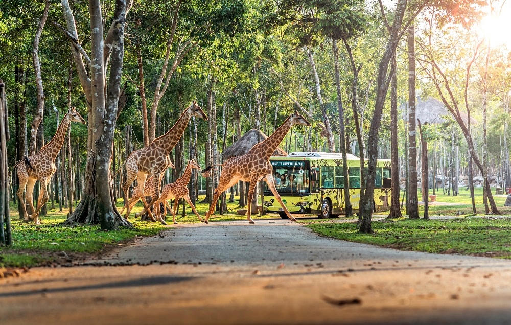 Vinpearl Golf được công nhận sân golf resort tốt nhất châu Á Thái Bình Dương.  