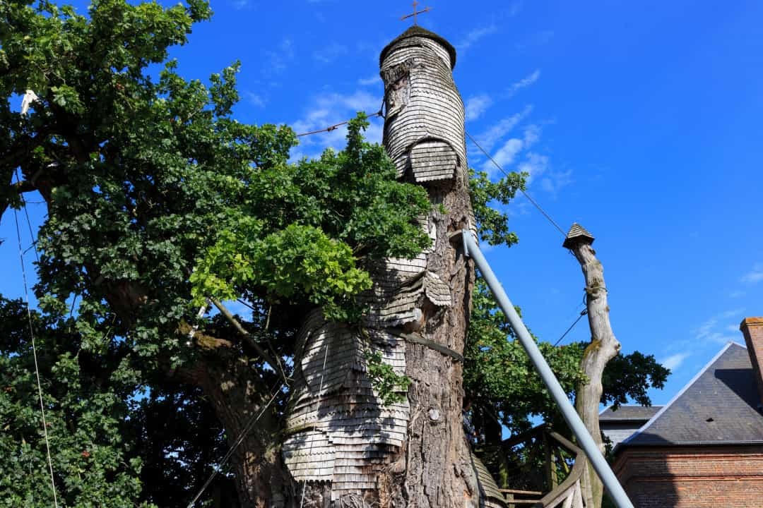 Nhà nguyện Chêne, Pháp - Nhà nguyện này nằm ở Allouville-Bellefosse, miền Bắc nước Pháp, nằm bên trong một cây sồi hàng trăm năm tuổi.  