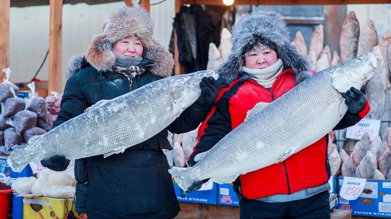Hình ảnh quen thuộc tại Yakutia (Ảnh: RBTH).