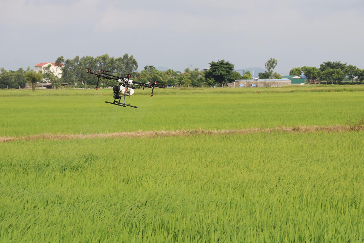 Việc giúp người dân thôn Liên Xương phun thuốc bảo vệ thực vật cho lúa được chính quyền huyện Vụ Bản thực hiện trong hai ngày 24,25/8, nhằm duy trì sản xuất trong bối cảnh nông dân địa phương đang phải thực hiện giãn cách 