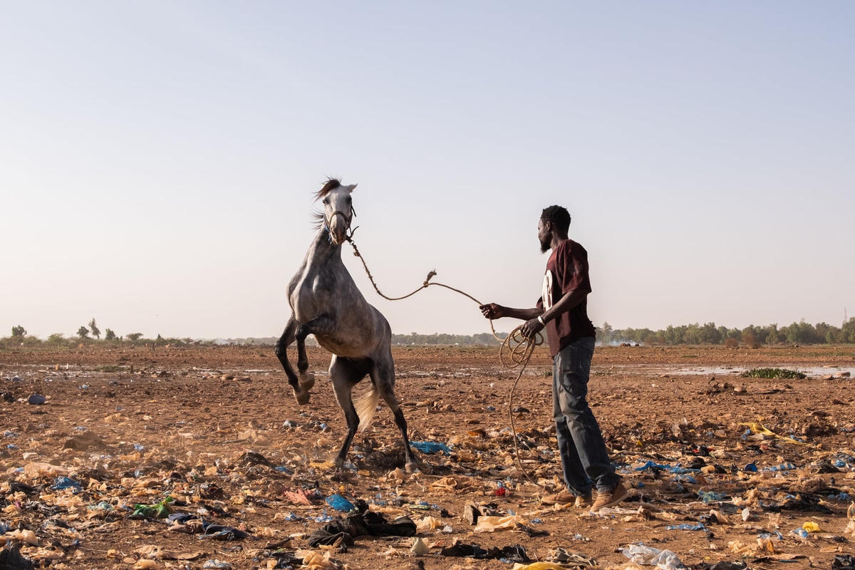 Abdo, người huấn luyện và là chủ sở hữu của khoảng 15 con ngựa, đang huấn luyện Memory, một con ngựa Ai Cập. Ảnh: Guy Peterson / The Guardian.