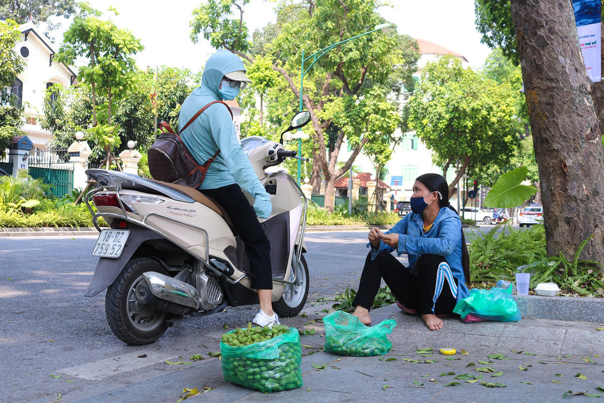 Một khách mua sấu trên đường Phan Đình Phùng.