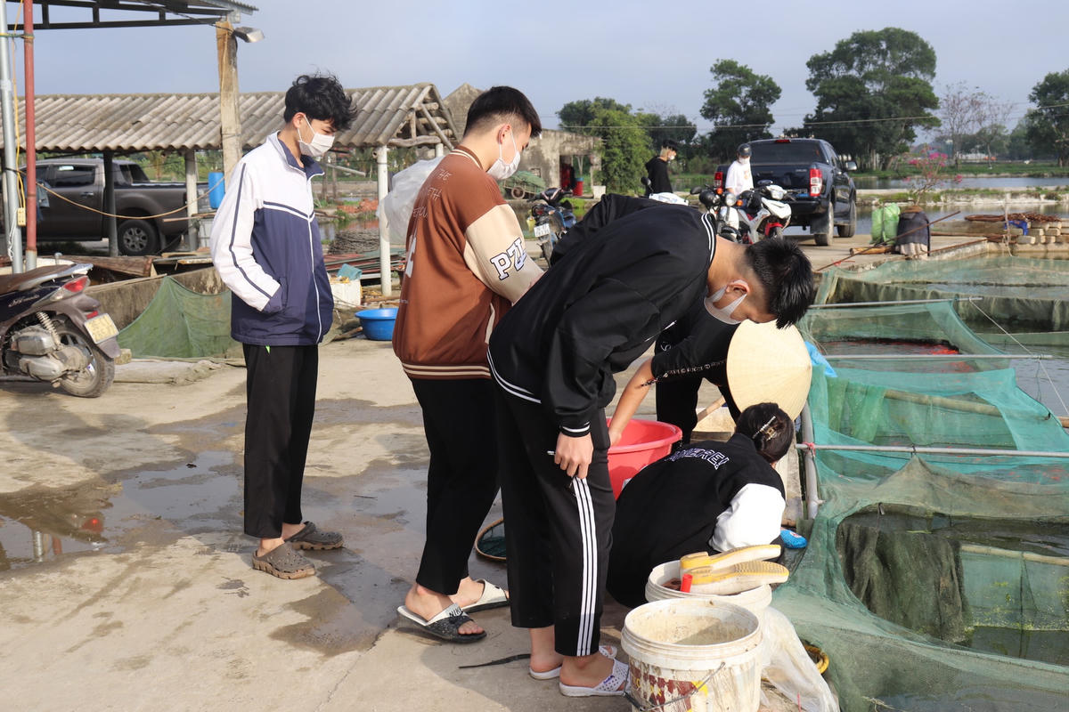 Nhóm bạn trẻ ở huyện Quảng Xương đến mua 10kg cá chép vàng với giá 1.800.000 đồng. Các bạn dự định vào ngày mai (24/1), tức ngày 23 tháng Chạp ( ngày ông Công, ông Táo), sẽ mang số cá chép vàng ra chợ bán với giá từ 250.000đ - 300.000 đ/kg trở lên, từ đó sẽ có một số tiền để sắm Tết cho bản thân và gia đình.