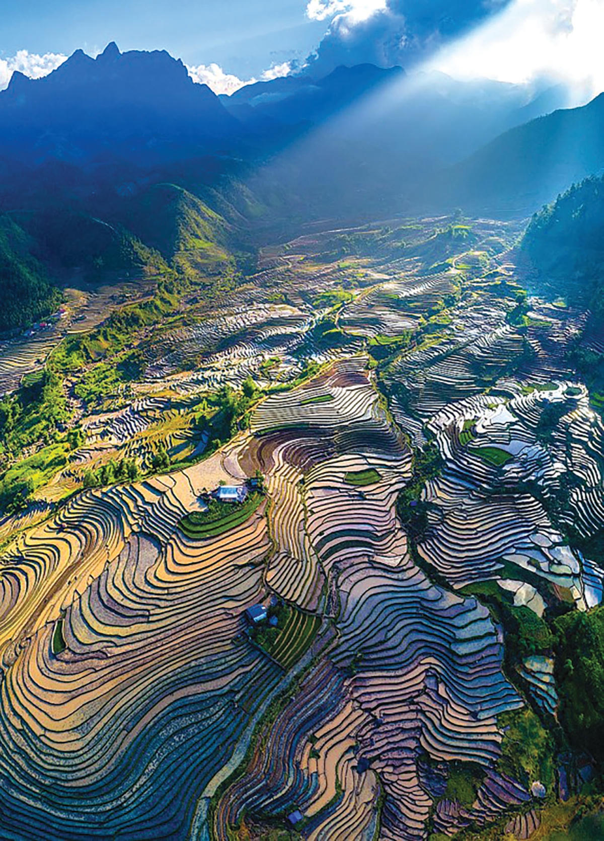 Tùy theo thời gian và thời tiết, trong hành trình chinh phục Ky Quan San du khách có thể chiêm ngưỡng vẻ đẹp lộng lẫy của ruộng bậc thang.