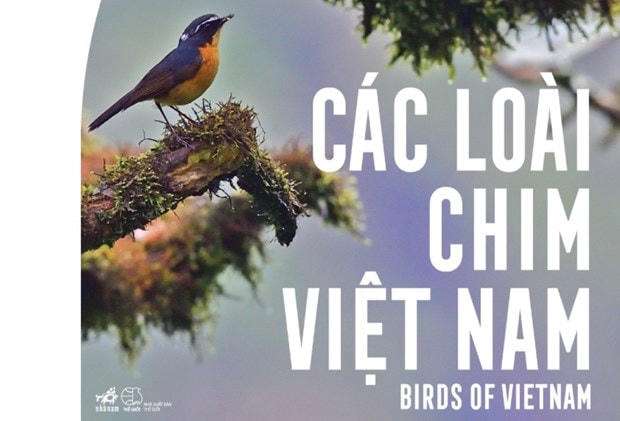 Sách “Các loài chim Việt Nam” với 731 loài chim được ghi nhận tại Việt Nam. Ảnh: BTC cung cấp.