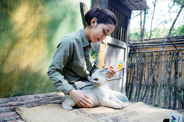 Kỷ lục 4 tê giác con chào đời trong vòng 16 tháng tại Vinpearl Safari