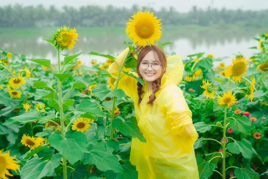 Rủ nhau check in đồi hoa mặt trời tại Eco Park