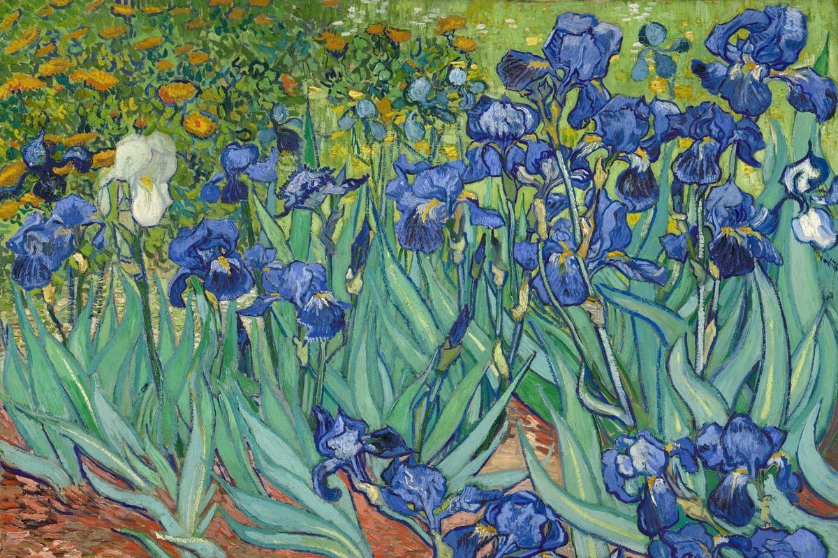 Tác phẩm “Irises”, được Vincent Van Gogh vẽ năm 1889, trước khi qua đời 1 năm.  