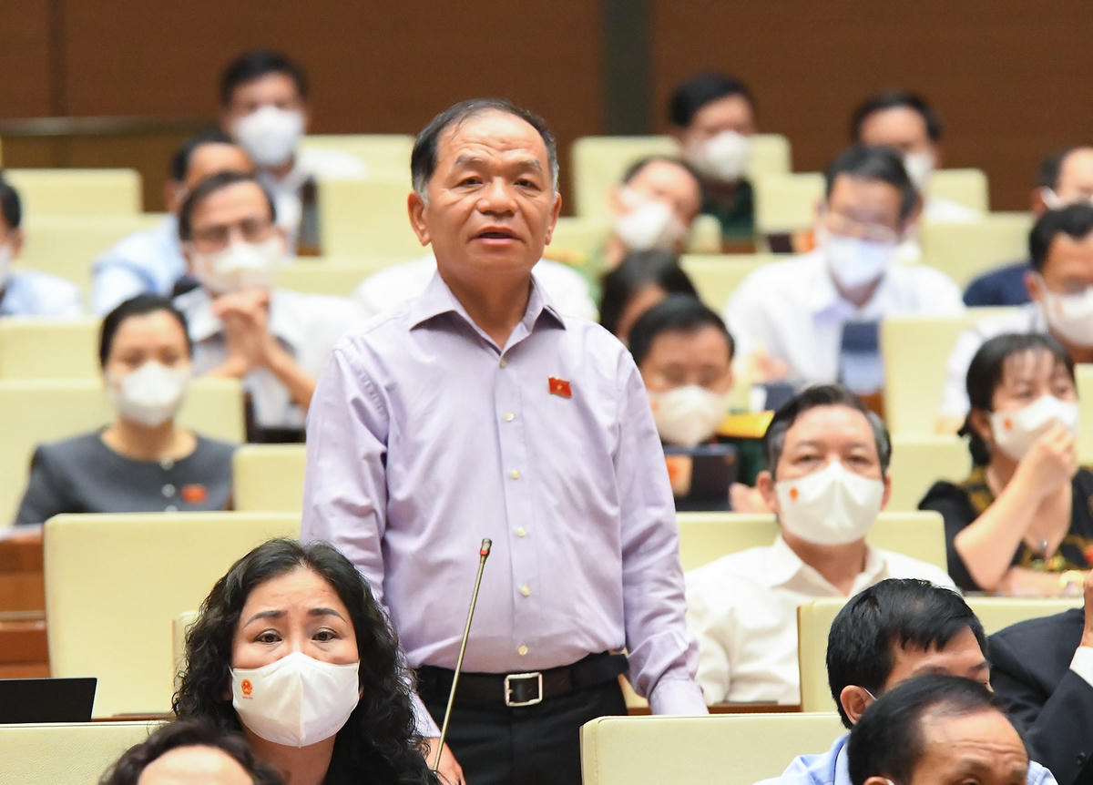 ĐB Lê Thanh Vân, Đoàn ĐBQH tỉnh Cà Mau.