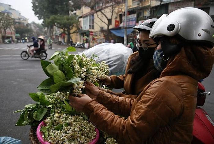 Nhiều người đón mùa hoa bưởi trắng tinh khôi như một thời khắc chuyển mình thân quen giữa xuân sang hạ.