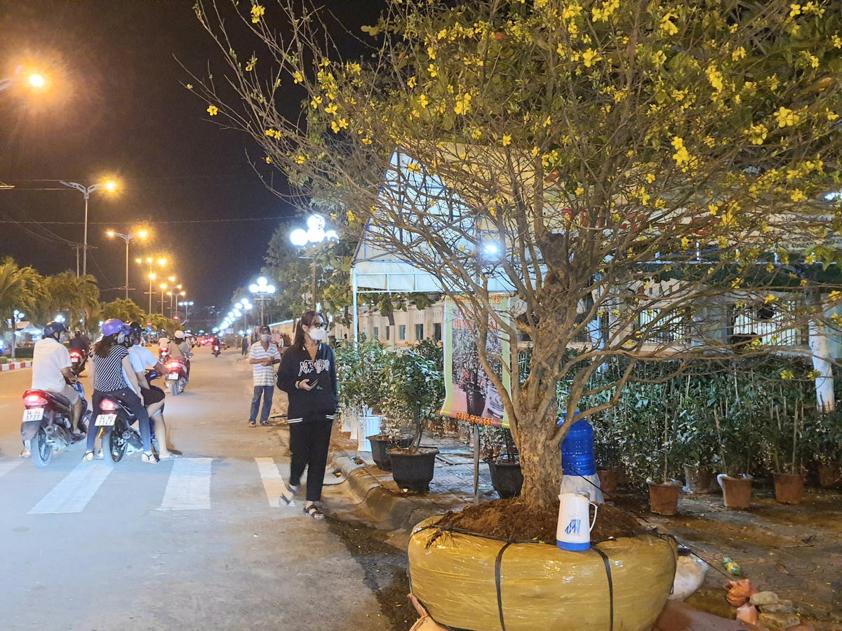 Vào thời điểm này như mọi năm, các chợ hoa Tết ở đường Nguyễn Tất Thành đã nhộn nhịp, đông vui cùng với đó là các gian hàng, các điểm bán đều kín chỗ. Còn năm nay thì người bán thì vắng mà người tham quan và mua cũng chẳng nhiều.