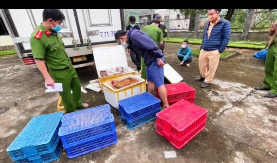 Lực lượng Công an phát hiện số động vật hoang dã trên 2 xe ô tô.