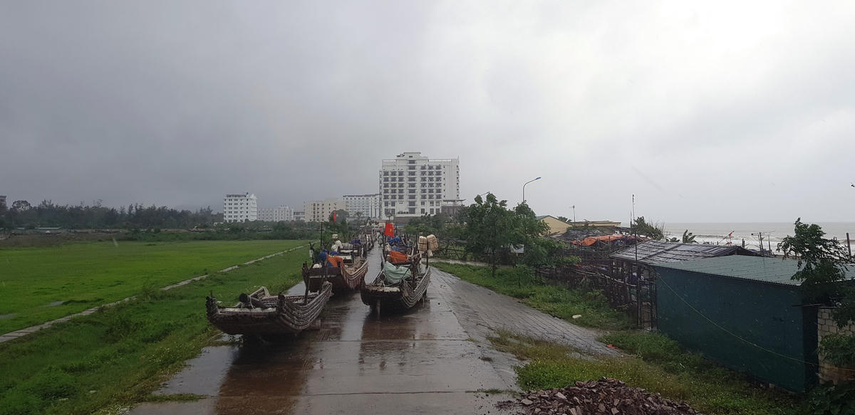 Bè mảng được đưa lên đê tránh bão.
