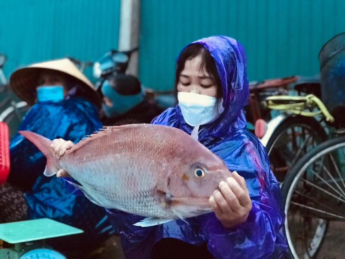 Tiểu thương Nguyễn Thị Phú thu mua hải sản được giá để đón đầu đợt rét đậm.