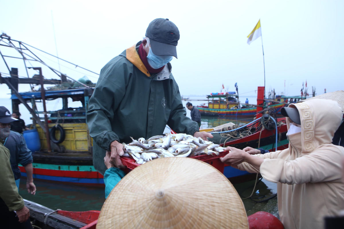 Giá cá đù tăng vọt nhưng vẫn hút khách.