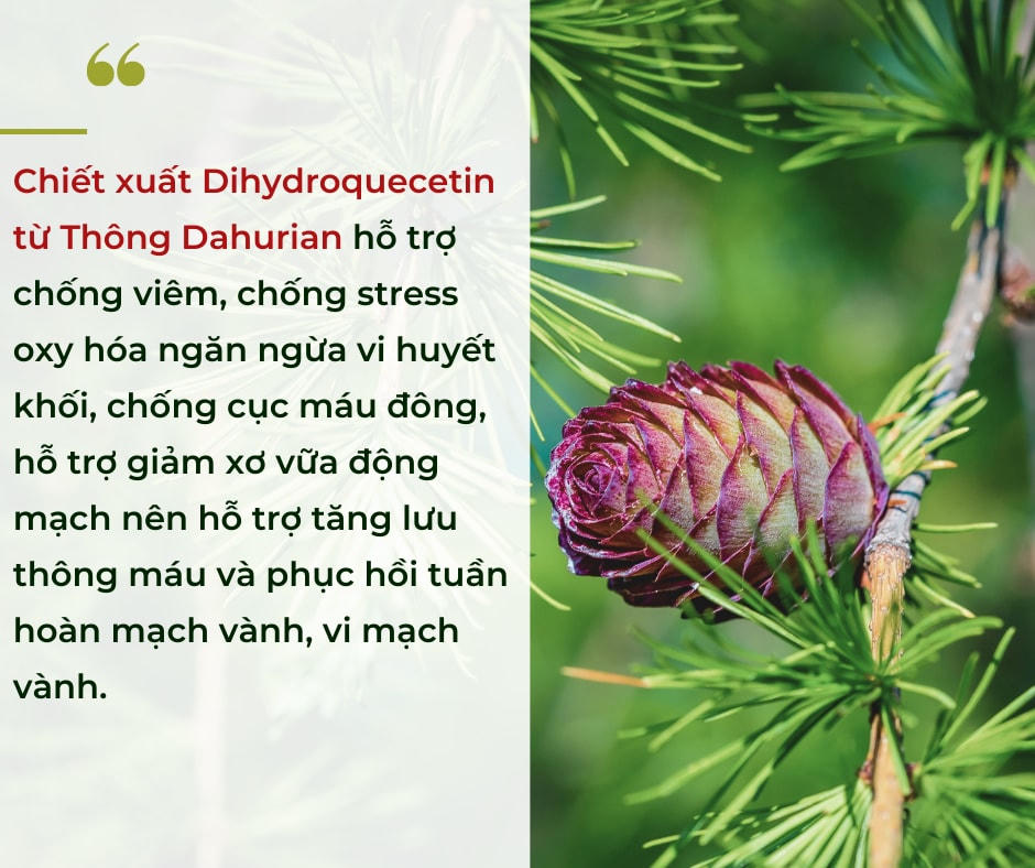 Di chứng tim mạch hậu Covid-19: Làm thế nào để chữa lành?