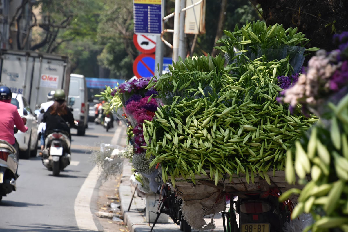 Với sắc trắng giản dị, tinh khôi, loại hoa này thường được những người yêu hoa săn lùng những ngày đầu mùa hạ.