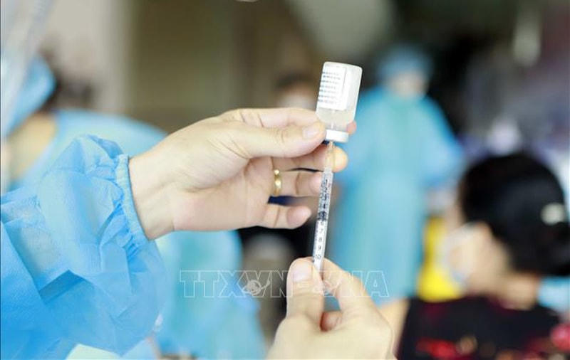 Bộ Y tế làm rõ tình hình, kiến nghị tổng số vaccine phòng Covid-19 cần mua cho trẻ em từ 5 đến dưới 12 tuổi. Ảnh: Hoàng Hùng/TTXVN.