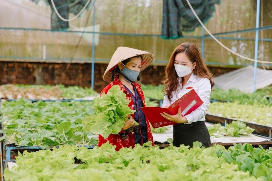 Agribank góp sức phát triển nông thôn mới kiểu mẫu của Việt Nam